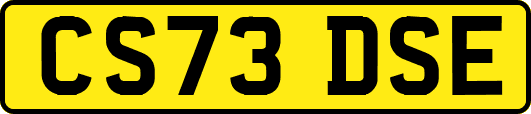 CS73DSE