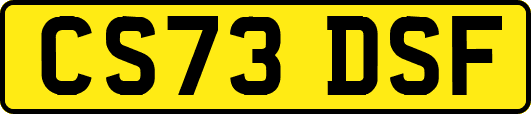 CS73DSF
