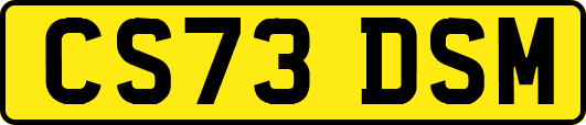 CS73DSM