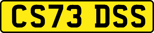 CS73DSS