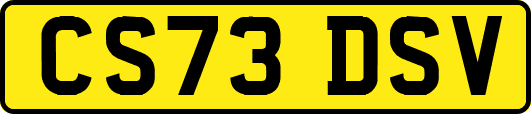 CS73DSV