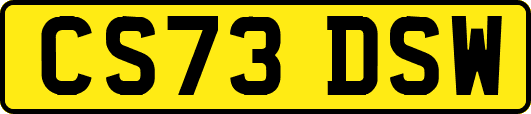 CS73DSW