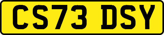CS73DSY