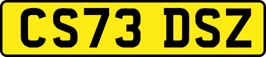 CS73DSZ