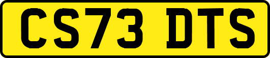 CS73DTS