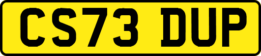 CS73DUP