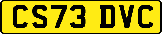 CS73DVC