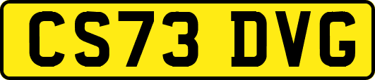 CS73DVG