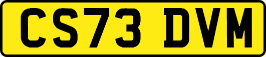 CS73DVM