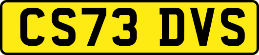 CS73DVS