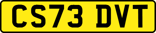 CS73DVT