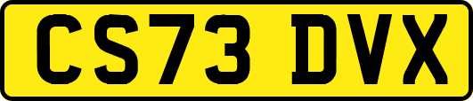 CS73DVX