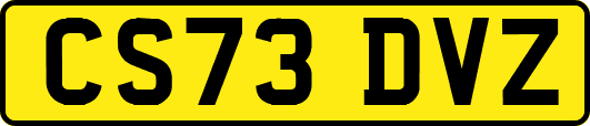 CS73DVZ