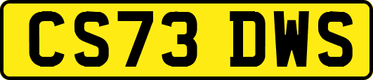 CS73DWS