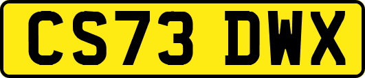 CS73DWX