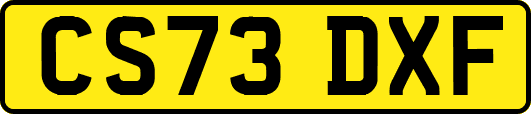 CS73DXF