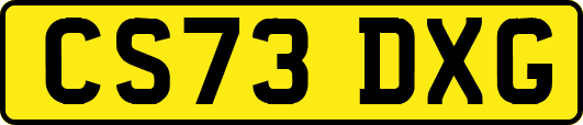 CS73DXG