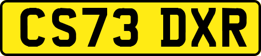 CS73DXR
