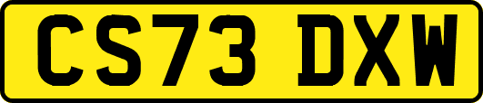 CS73DXW