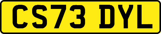 CS73DYL