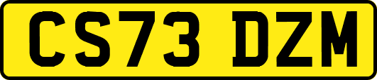 CS73DZM