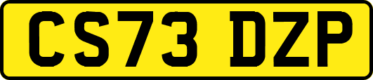CS73DZP
