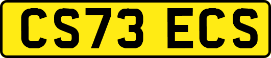 CS73ECS