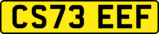 CS73EEF