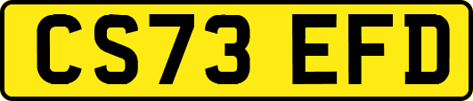 CS73EFD
