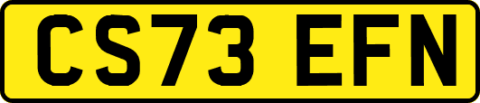 CS73EFN