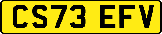 CS73EFV