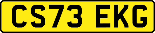 CS73EKG