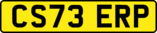 CS73ERP