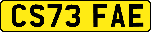 CS73FAE