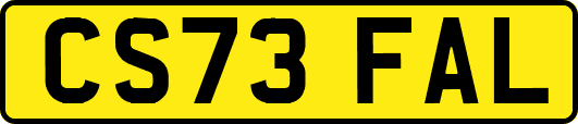 CS73FAL