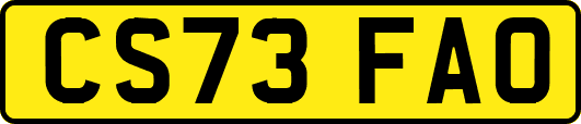 CS73FAO