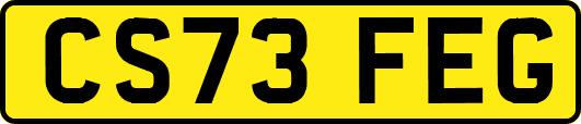 CS73FEG