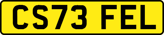 CS73FEL