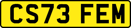 CS73FEM