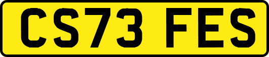 CS73FES