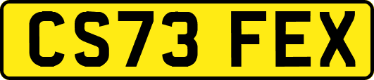 CS73FEX