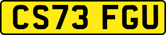 CS73FGU