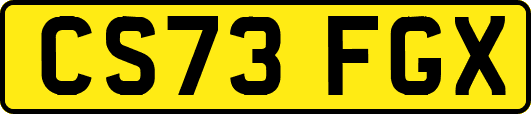 CS73FGX
