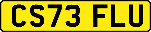 CS73FLU