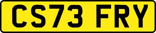 CS73FRY