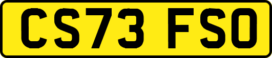 CS73FSO