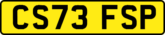 CS73FSP