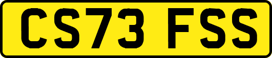 CS73FSS