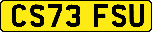 CS73FSU