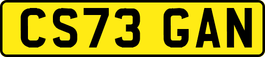CS73GAN